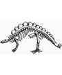 Dinosaur Skeleton Clipart
