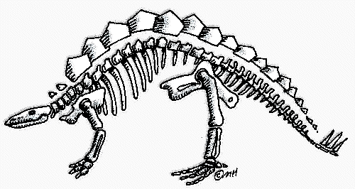 Dinosaur Skeleton  In Color    Clip Art Gallery
