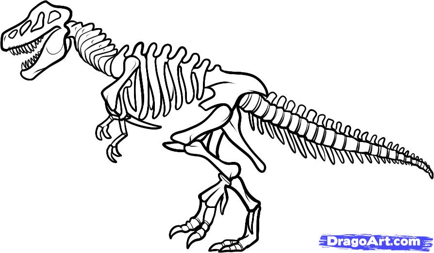 How To Draw A Dinosaur Skeleton Dinosaur Skeleton Step By Step
