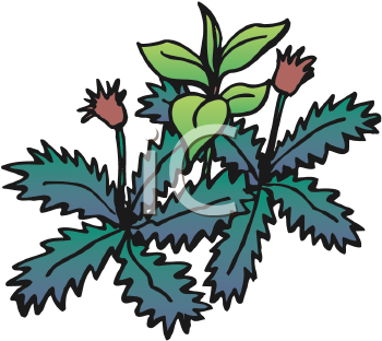 Royalty Free Weed Clip Art Grass And Tree Clipart