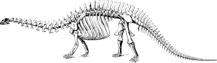 Skeleton   Http   Www Wpclipart Com Animals Extinct Dinosaur