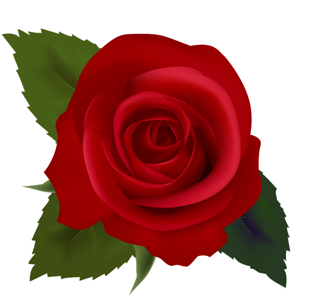 12 Valentine Roses Clipart Free Cliparts That You Can Download To You    