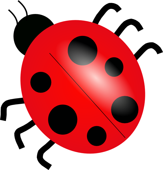Ladybug 3 Clip Art At Clker Com   Vector Clip Art Online Royalty Free
