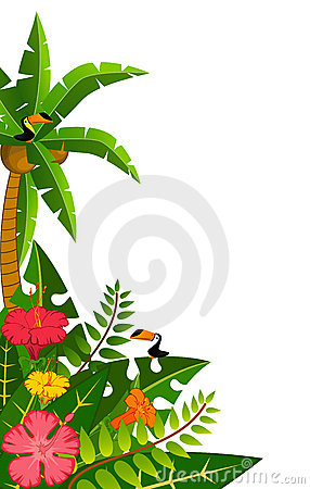 Tropical Plants And Parrots  Stock Image   Image  17117101