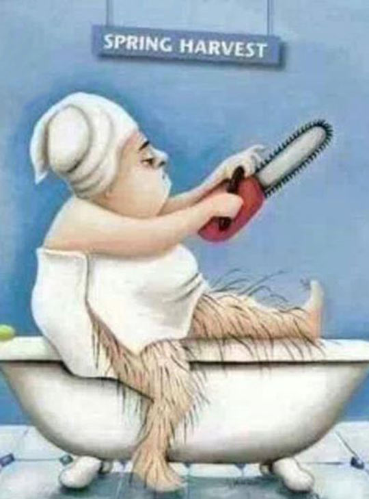Ladies The Time Is Almost Here    Daily Funny Pics