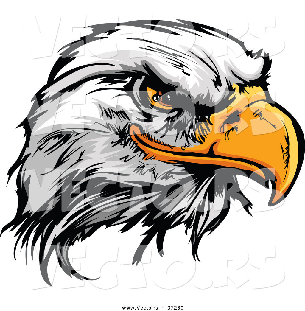 Vector Of A Fearless Cartoon Styled Bald Eagle Mascot Head By Chromaco