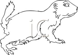 Black And White Cartoon Of A Prarie Dog Running   Royalty Free Clipart