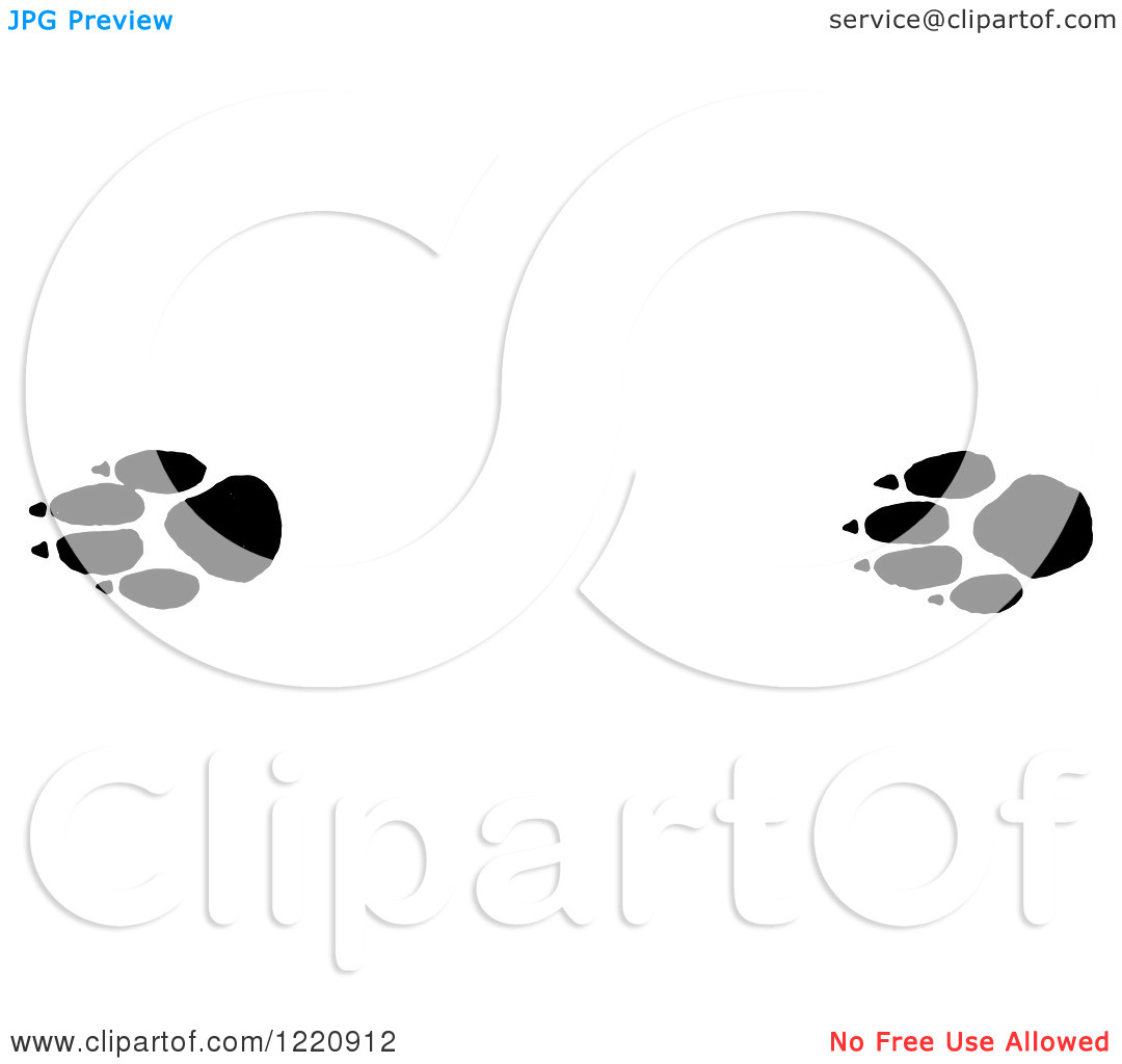 Clipart Of Black And White Prairie Wolf Tracks   Royalty Free Vector