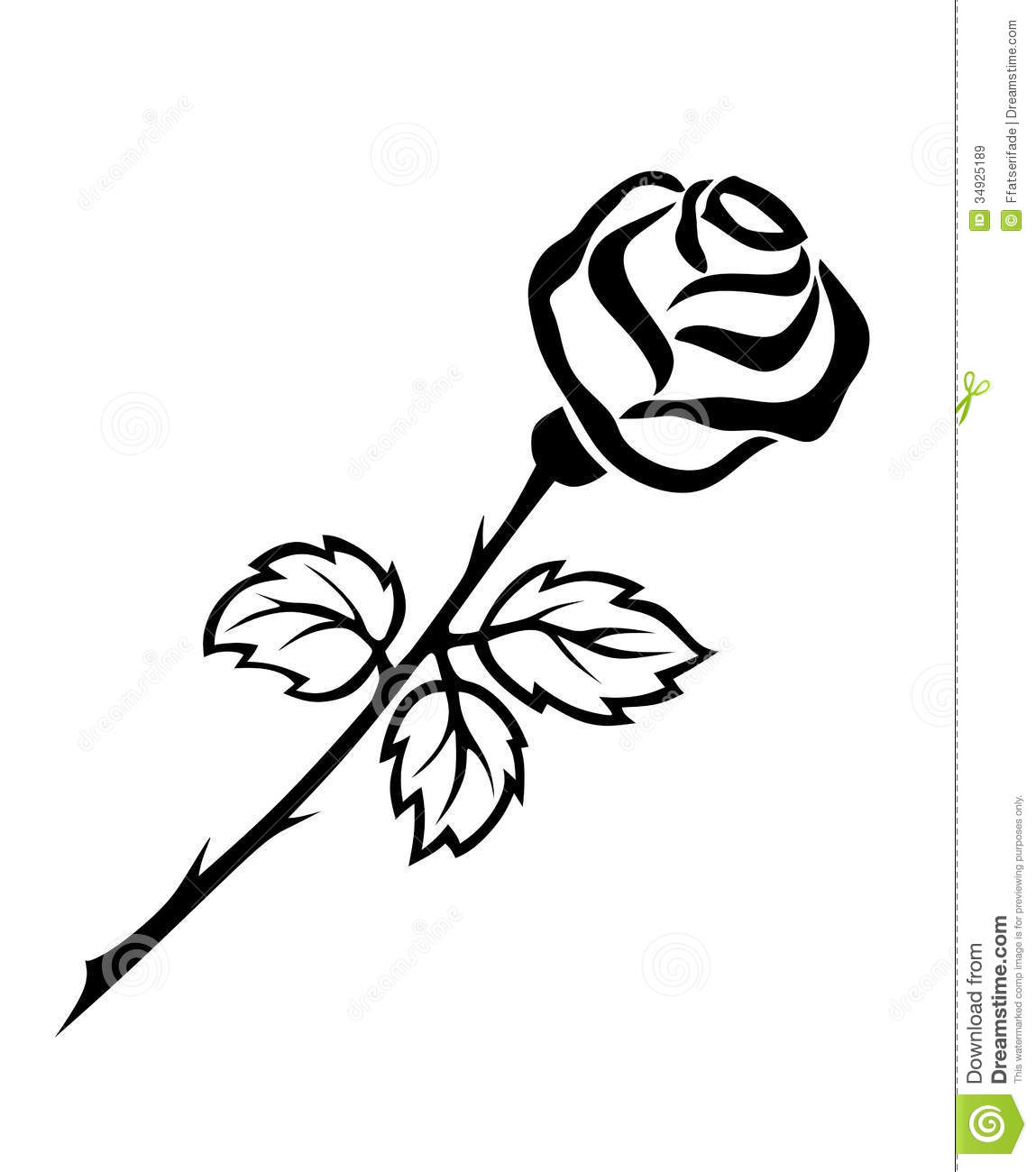 Illustration Of Beautiful Black And White Rose With Thorns