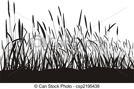 Of Grass On White Background   Black Blade Of Grass On White