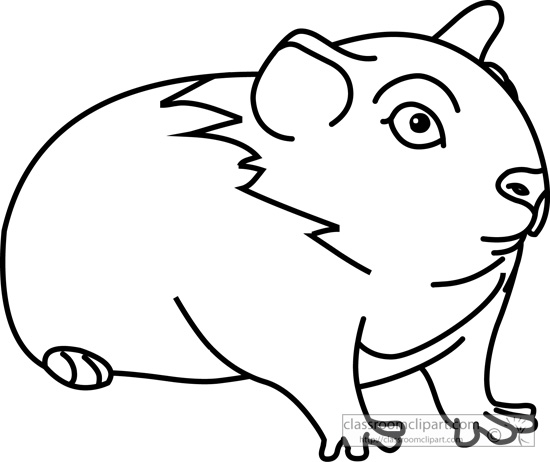 Animals   Guinea Pig 03 Outline 116   Classroom Clipart