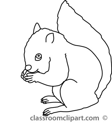 Animals   Squirrel Eating Nuts 31012 Outline   Classroom Clipart