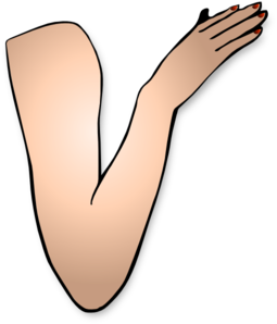 Arm And Hand Clip Art At Clker Com   Vector Clip Art Online Royalty