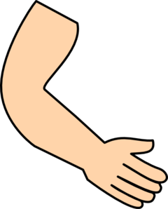 Arm   Hand Clip Art At Clker Com   Vector Clip Art Online Royalty
