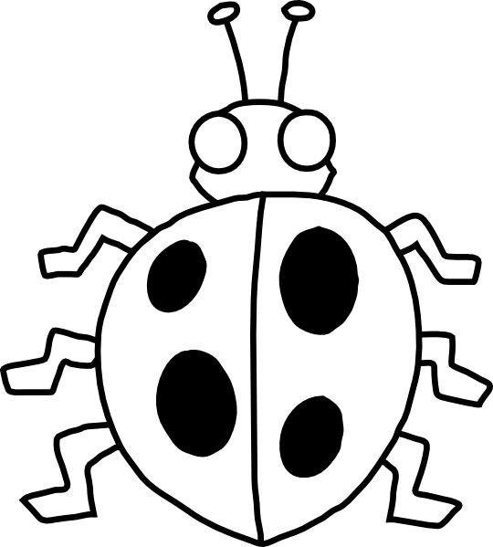 Black And White Bug Clipart   Clipart Best