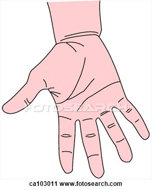Clipart   Hand And Wrist Palmar Aspect  Fotosearch   Search Clipart