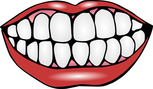 Mouth And Teeth Clip Art At Clker Com   Vector Clip Art Online