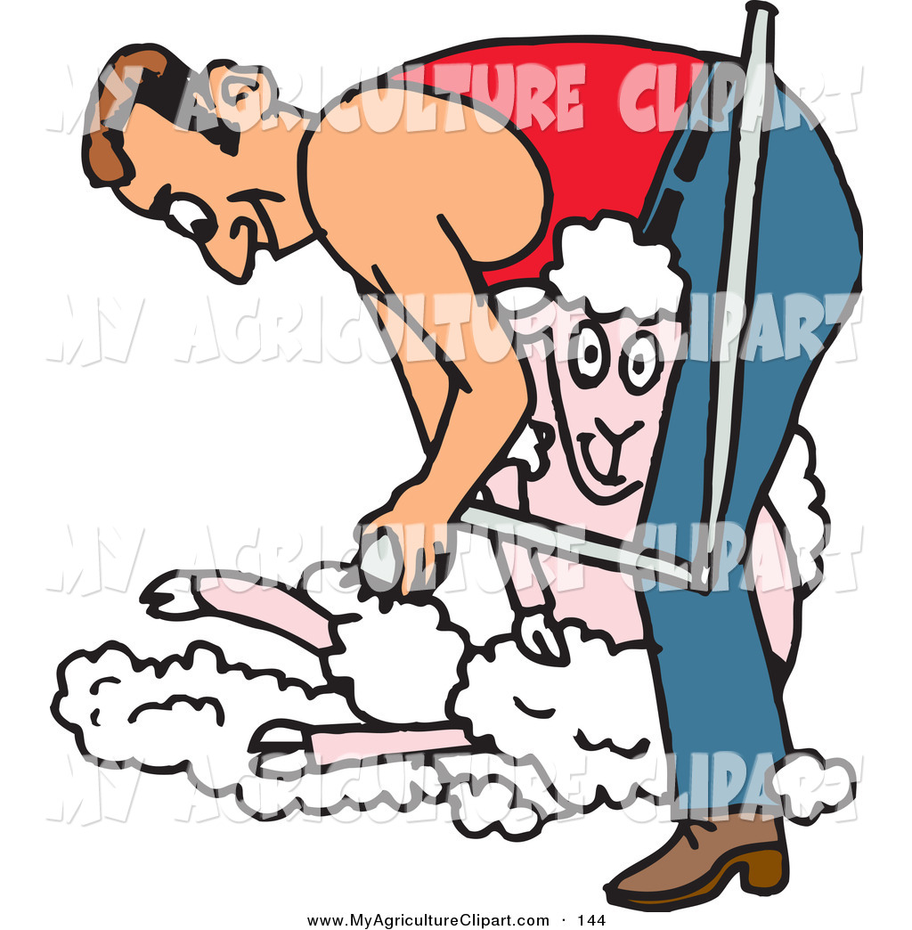 Back   Gallery For   Sheep Wool Clip Art