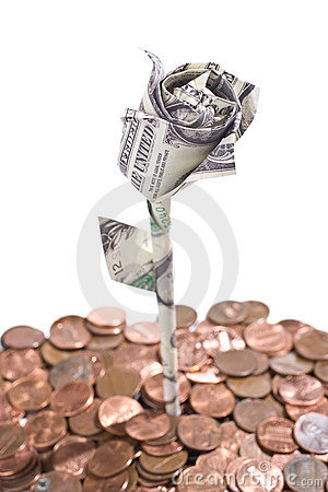 Dollar Rose And Coin Dirt Stock Photo   Image  5960770