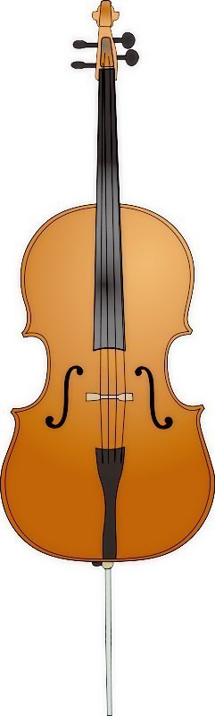 Main Music Instruments In Orchestra Strings   Natatnote S Music Talk