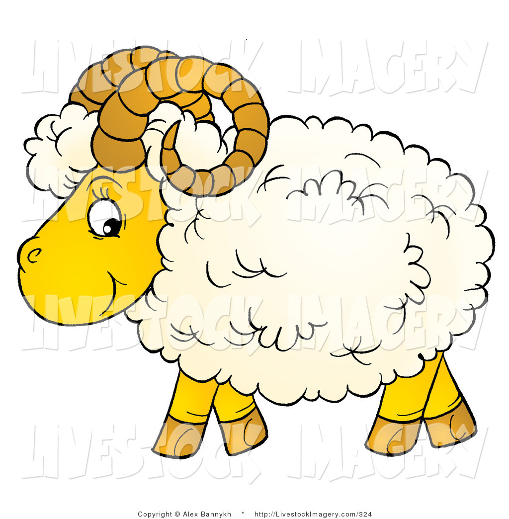 Sheep Wool Clipart