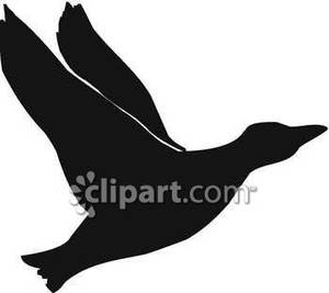 Flying Duck Clipart Flying Duck Silhouette Royalty Free Clipart