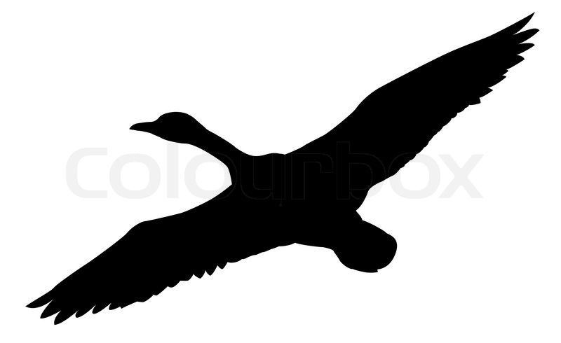 Flying Duck Silhouette   Clipart Panda   Free Clipart Images