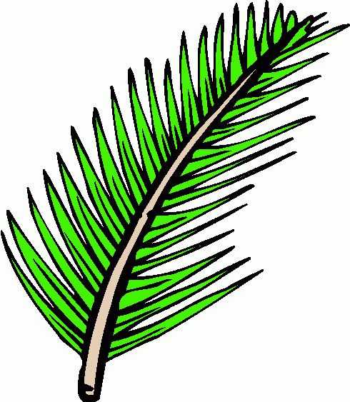 Palm Branch 2 Clipart   Palm Branch 2 Clip Art