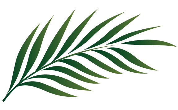 Palm Branch Image Free Cliparts That You Can Download To You