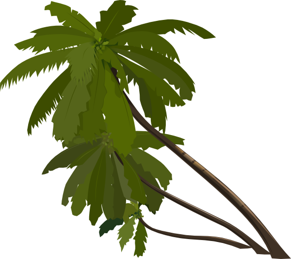 Three Palm Trees Clip Art At Clker Com   Vector Clip Art Online