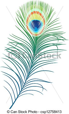 Clip Art Of Feather Of Peacock Bird Isolated On White Background