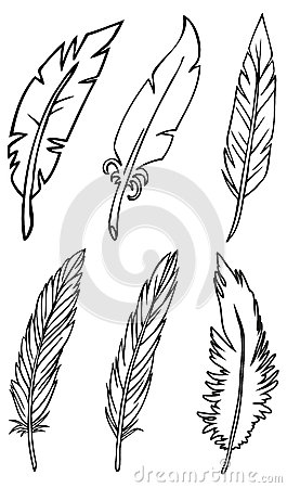 Hand Drawing Bird Feathers On A White Background
