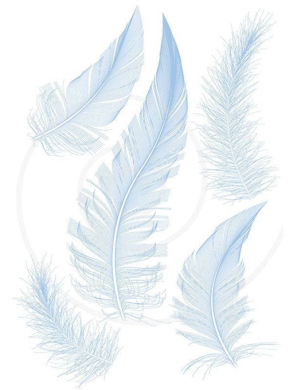 Set Of Detailed Blue Bird Feathers Printable By Illustree On Etsy