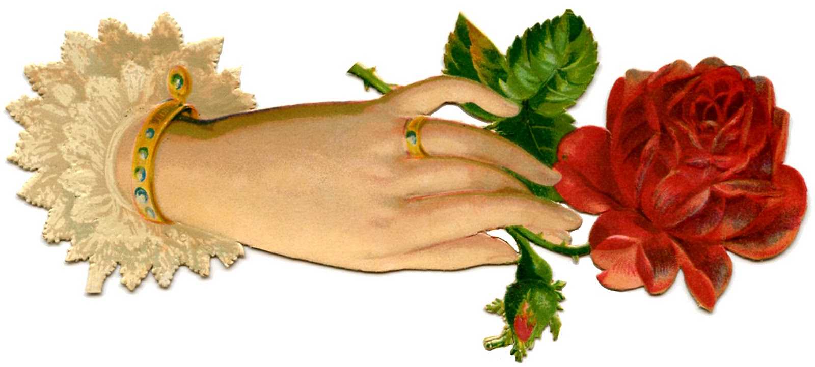 Victorian Graphic   Ladies Hand With Red Rose   The Graphics Fairy