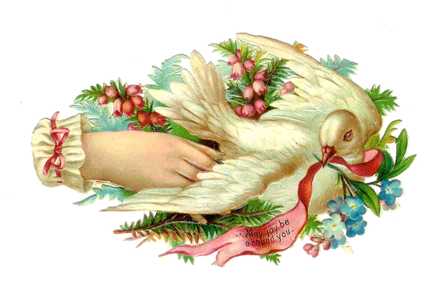 Vintage Bird Clip Art  Victorian Die Cut White Dove Hand Whimsy