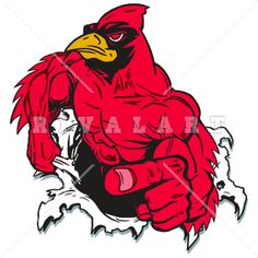 Cardinal Clip Art For Flags On Pinterest   Cardinals Graphics And    