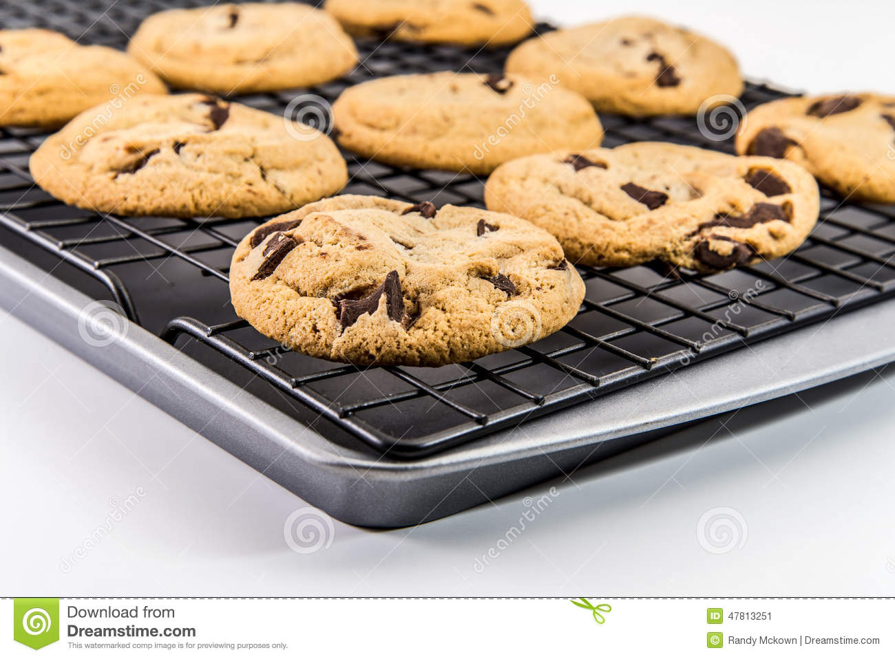 Freshly Baked Chocolate Chip Cookies Out Of The Oven   On Cookie Sheet    