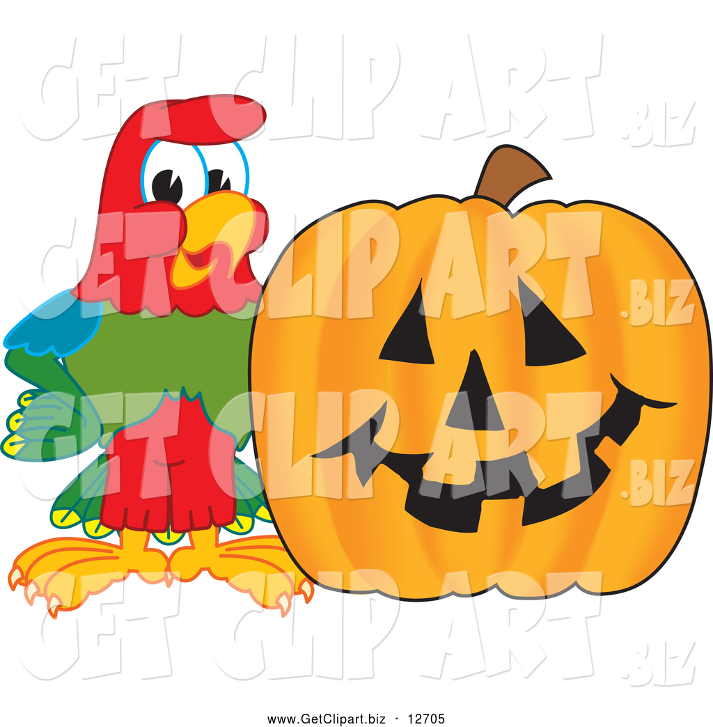 Larger Preview  Clip Art Of A Macaw Parrot With A Pumpkin By Toons4biz