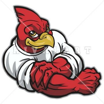 Mascot Clipart Image Of A Fighting Cardinal Graphic   Cardinal Clip
