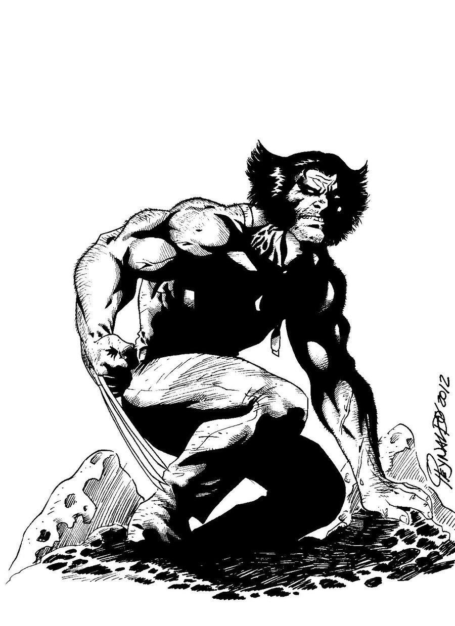 Wolverine Black White By D Comicsstudio On Deviantart
