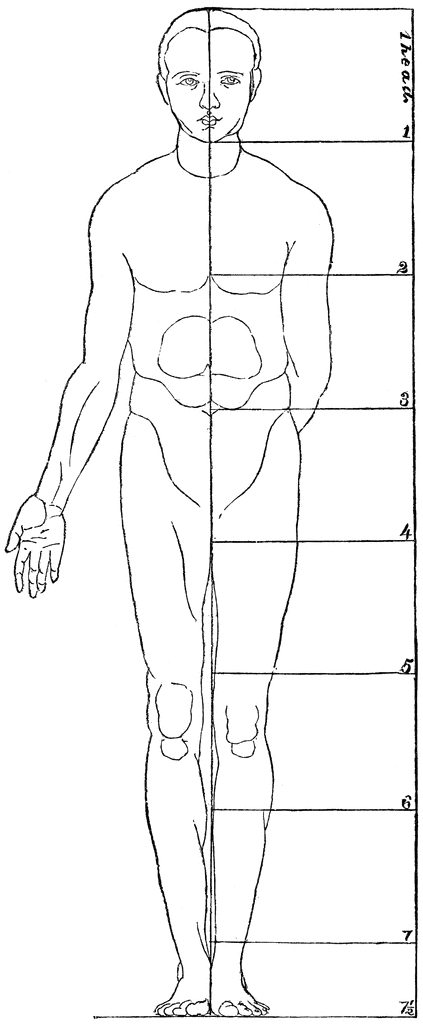 Body Perspective   Clipart Etc