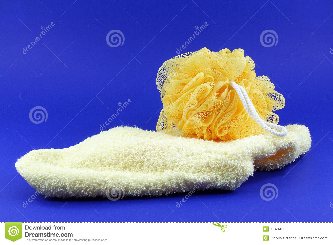 Body Sponge And Wash Cloth Royalty Free Stock Image   Image  1649436