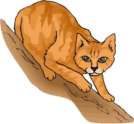 Cat That I Call With Yellow Funny Cat Free Clipart