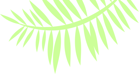 Jungle Leaf   Clipart Best