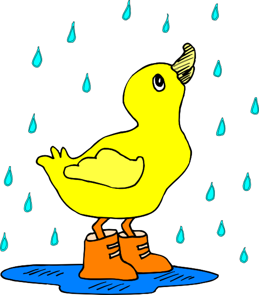 Related Pictures Funny Duck Clip Art
