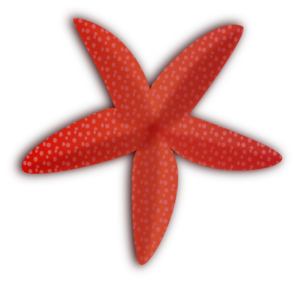 Starfish Clip Art At Clker Com   Vector Clip Art Online Royalty Free