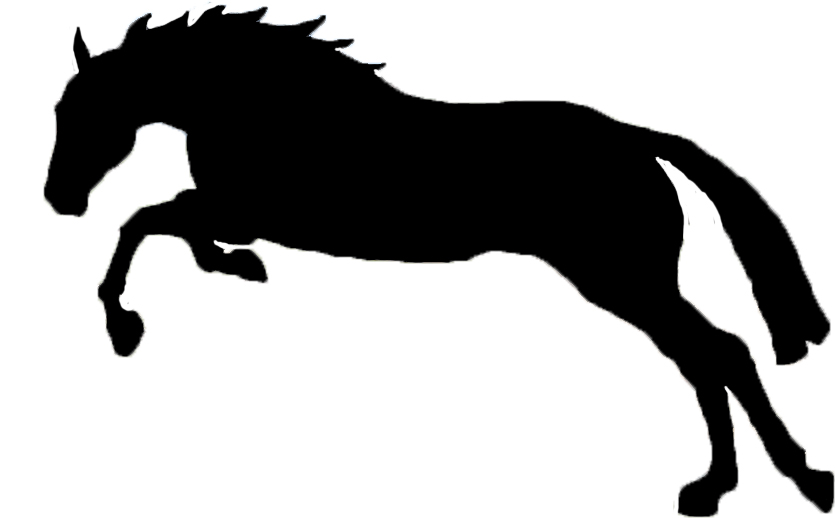 10 Jumping Horse Silhouette   Free Cliparts That You Can Download To    