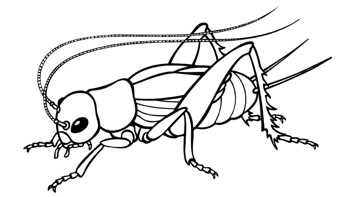 16 Clip Art Insects Free Cliparts That You Can Download To You