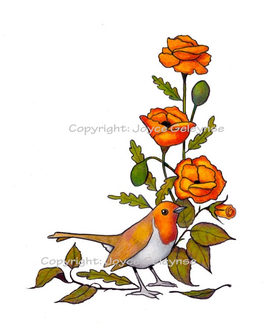 Clip Art Nature Border With English Robin Bird And Orange Flowers    