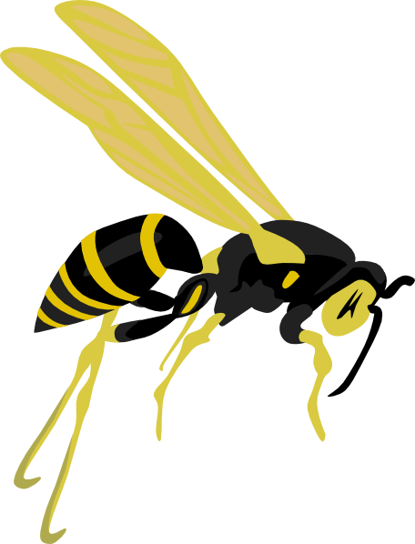 Flying Wasp 2 Clip Art At Clker Com   Vector Clip Art Online Royalty